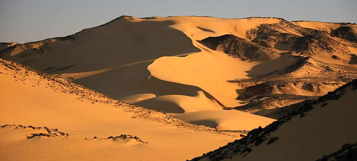 температура ночью в пустыне сахара. климат пустыни. температура ночью в пустыне сахара. в пустыне осадков. зима в пустыне.