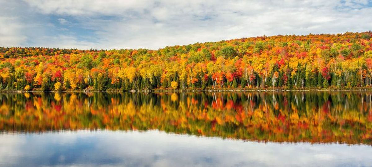 Quebec’S Fall Colours SelfDrive Wexas Travel Wanderlust Trip Finder