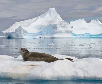 Alastair Fothergill Life On The Frozen Planet Wanderlust